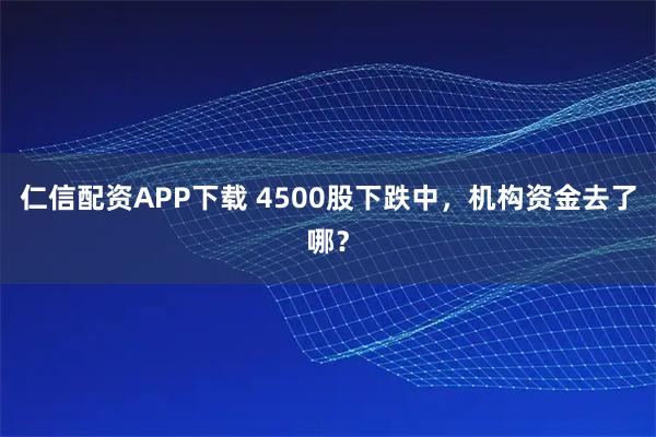 仁信配资APP下载 4500股下跌中，机构资金去了哪？