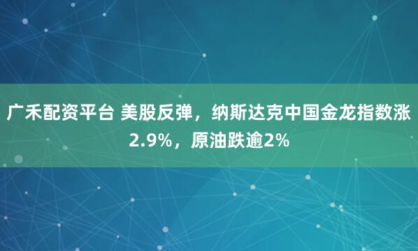 广禾配资平台 美股反弹，纳斯达克中国金龙指数涨2.9%，原油跌逾2%