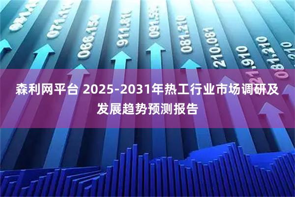 森利网平台 2025-2031年热工行业市场调研及发展趋势预测报告