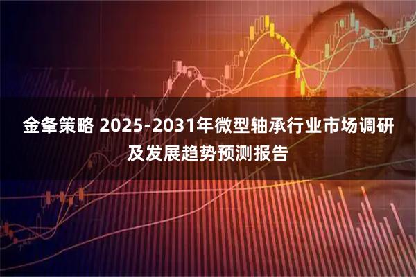 金夆策略 2025-2031年微型轴承行业市场调研及发展趋势预测报告